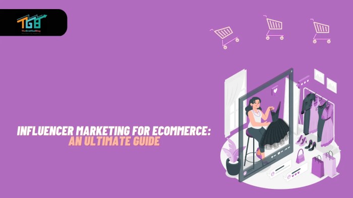 Influencer marketing for online stores